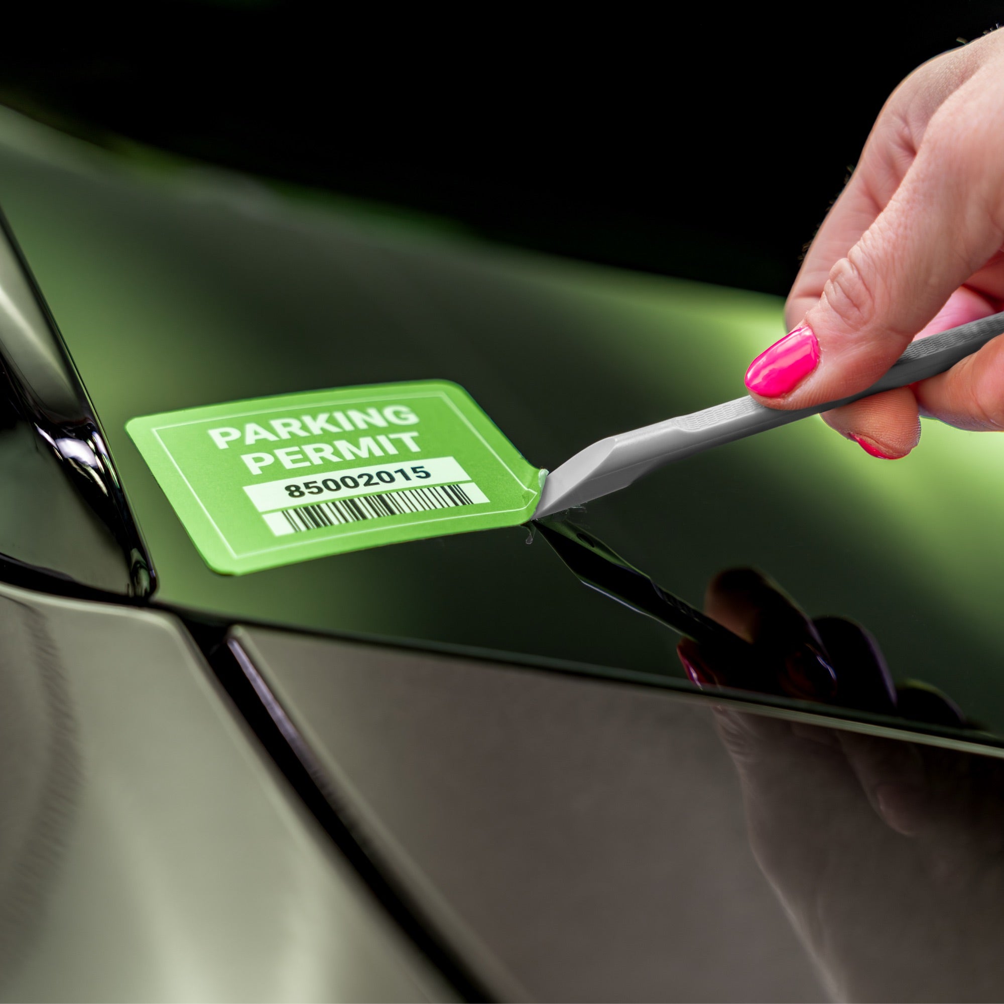 Precision Detail Picks