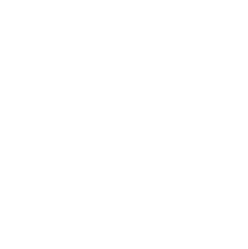 light bulb icon
