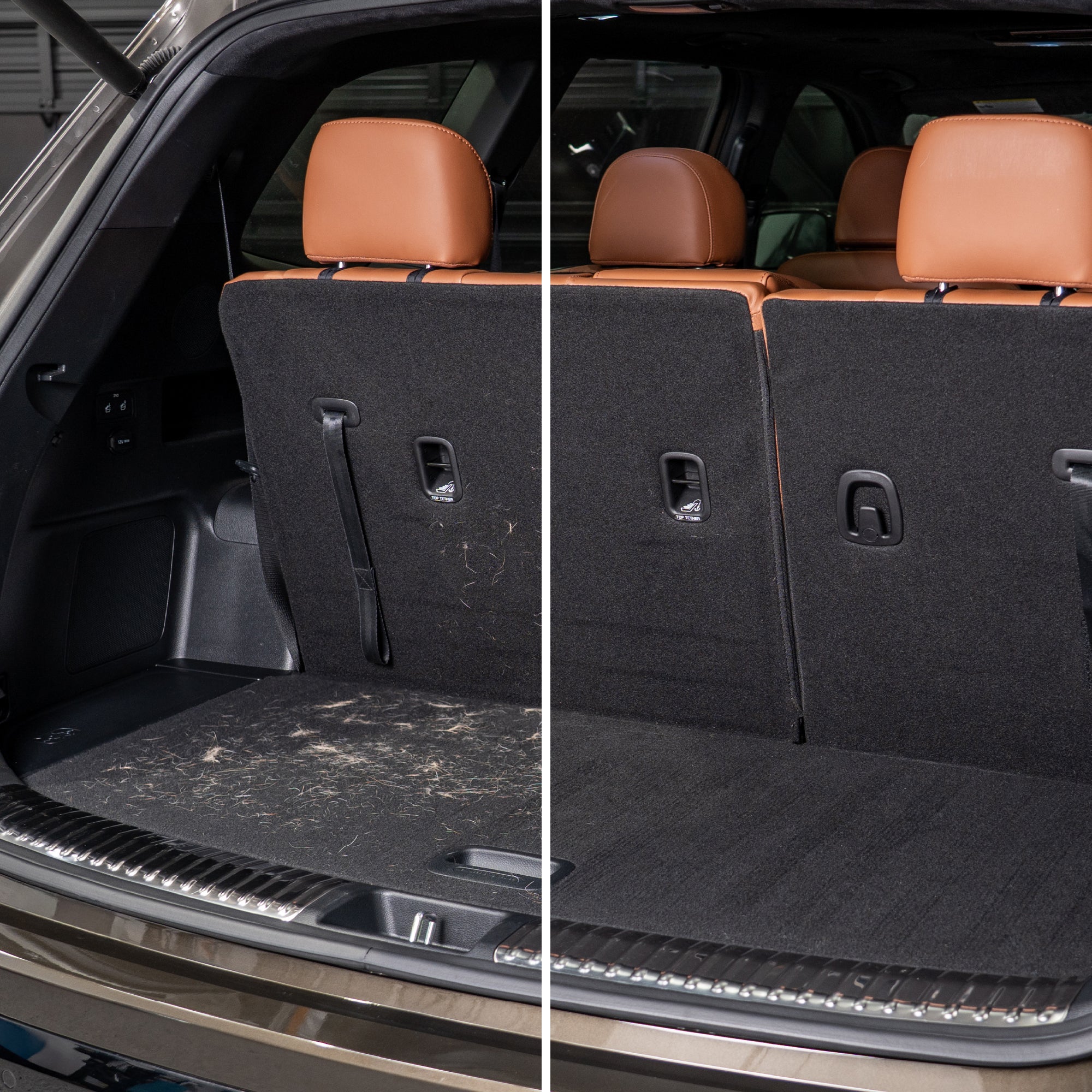 Pet Hair Remover & Carpet Striper