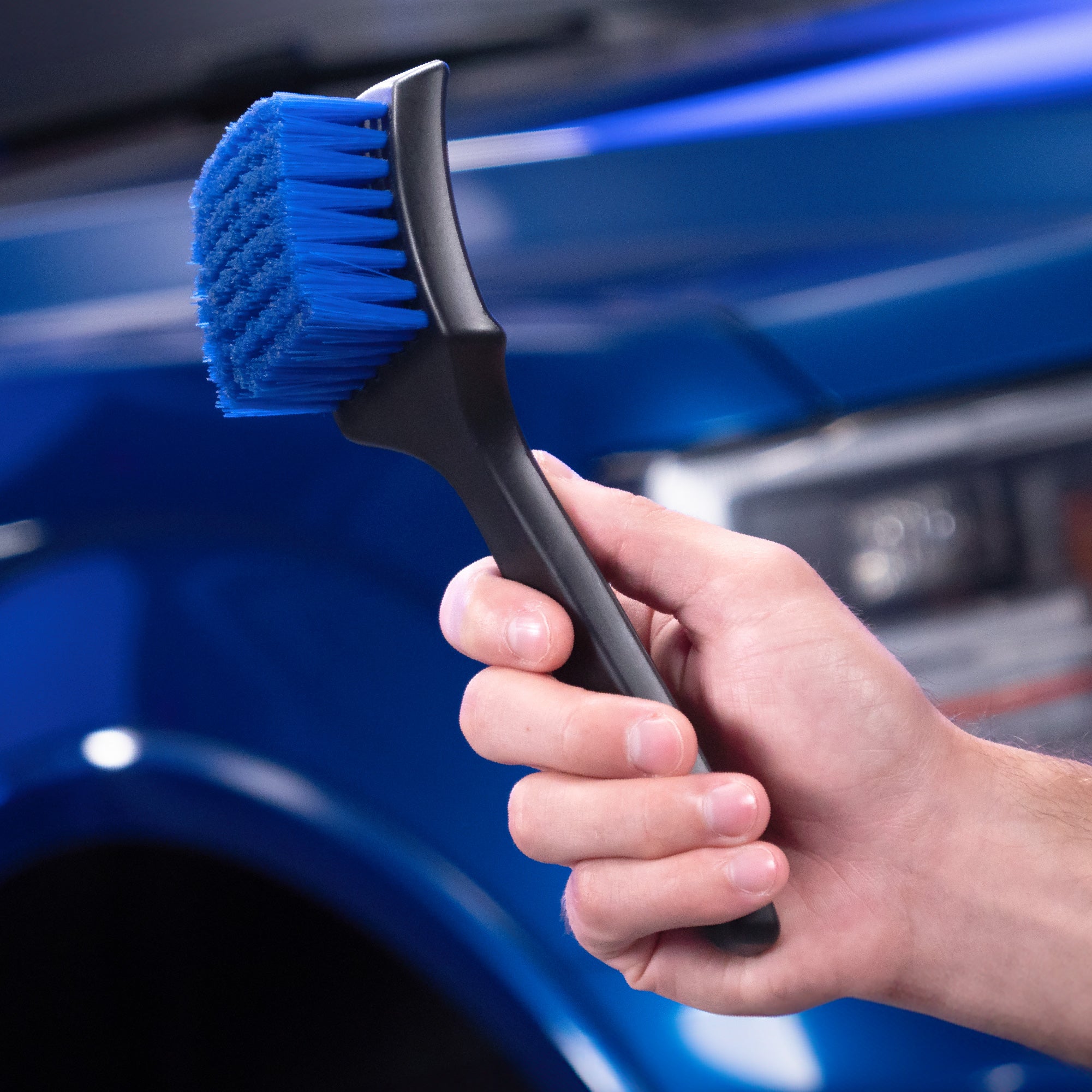 Handled Carpet Brush