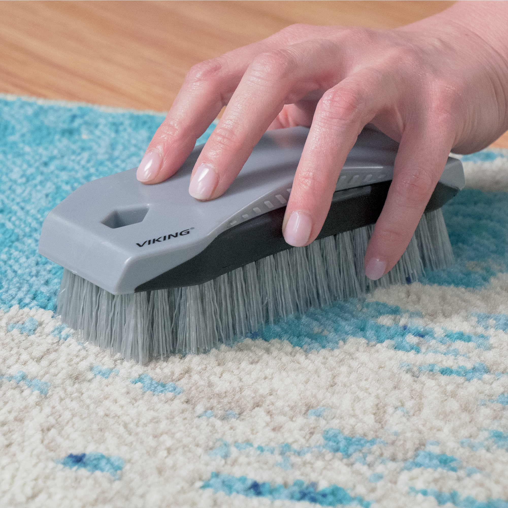 Carpet Brush